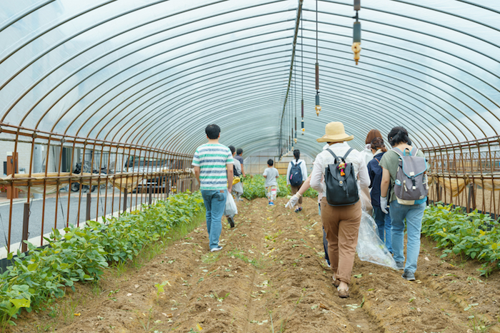 osakafoodstyle、なにわ料理、大阪産、女子会、大阪、天王寺、健康、野菜、和食、料理教室、健彩青果、大畑ちつる、レシピ