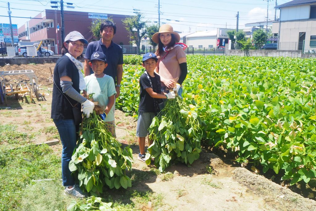 大阪の枝豆の旬は「8月末まで」です！