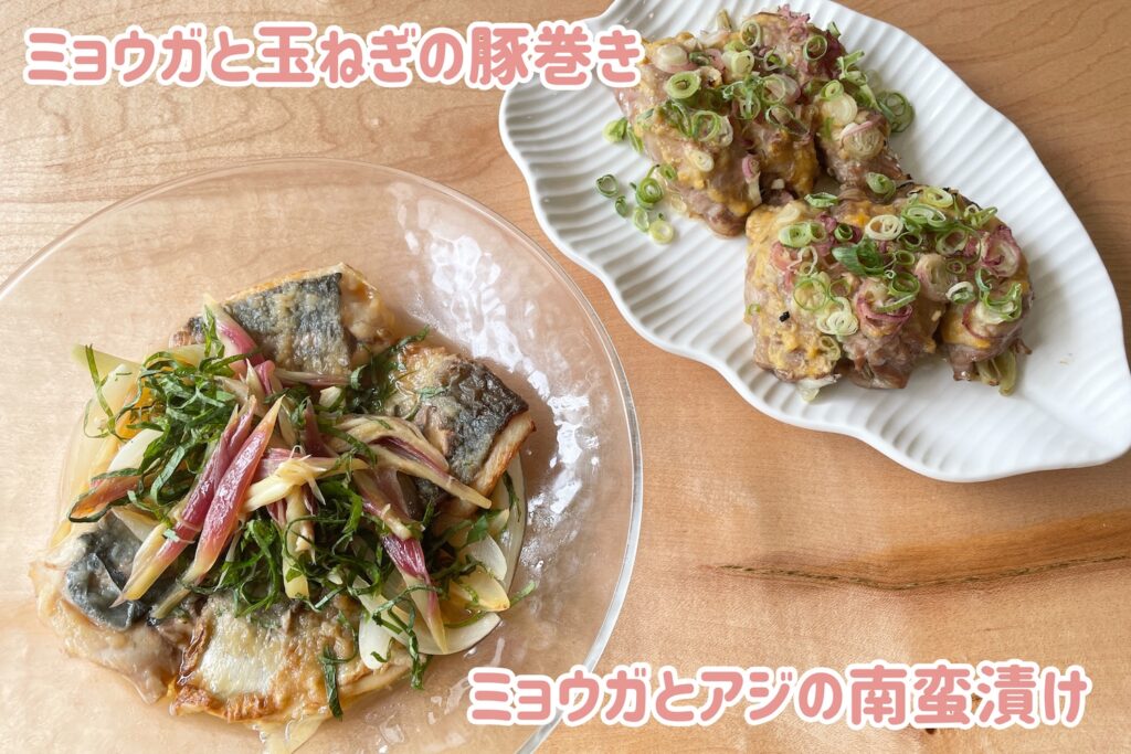 ミョウガ、おばんざい教室、米粉パン教室、個人、野菜料理教室、天王寺、阿倍野区、美章園、大阪市、osakafoodstyle、大畑ちつる、健彩青果、和食、レシピ、なにわ料理、糖尿病食、管理栄養士、大阪産