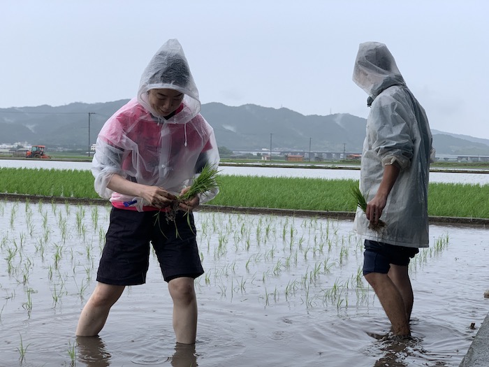 おばんざい教室、米粉パン教室、個人、野菜料理教室、天王寺、阿倍野区、美章園、大阪市、osakafoodstyle、大畑ちつる、健彩青果、和食、レシピ、なにわ料理、糖尿病食、管理栄養士、大阪産、新米