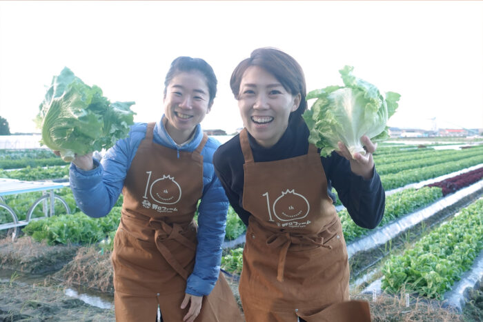 野口ファーム野菜お取り寄せ農家直送レタス