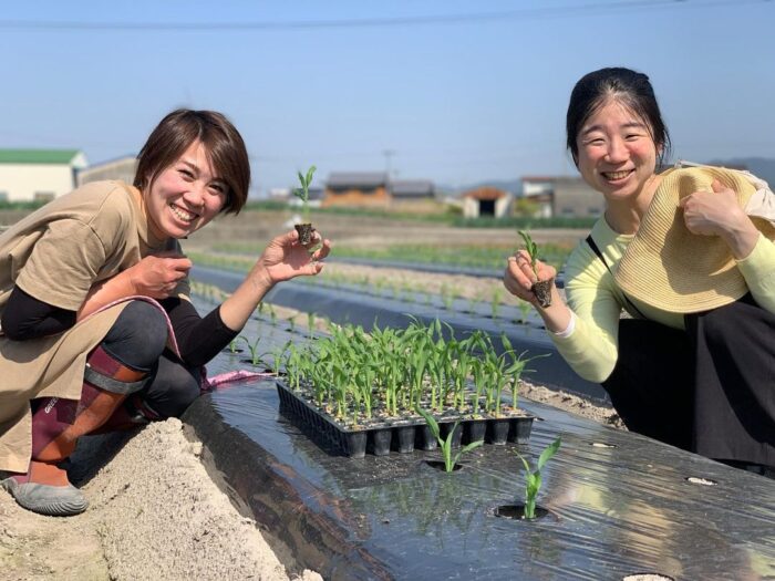 トウモロコシ野口ファーム、おばんざい教室、米粉パン教室、個人、野菜料理教室、天王寺、阿倍野区、美章園、大阪市、osakafoodstyle、大畑ちつる、健彩青果、和食、レシピ、なにわ料理、糖尿病食、管理栄養士、大阪産