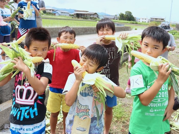 野口ファーム淡路島トウモロコシ