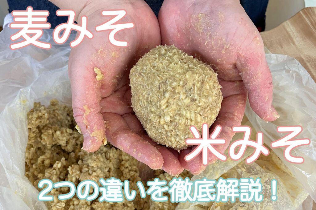 「麦みそ」はどうやって使うの？米みそとの3つの違い