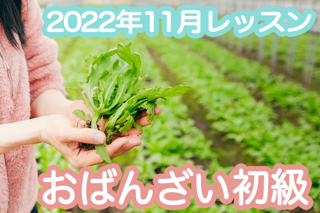 【初級】2022年11月「きくな」