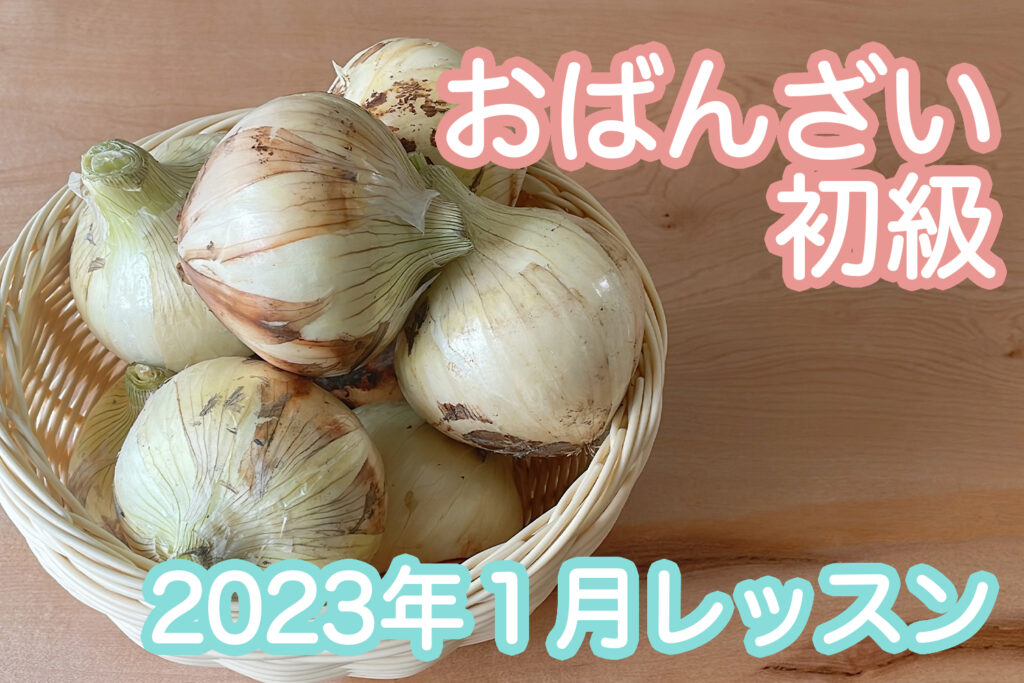 【初級】2023年1月「新玉ねぎ」