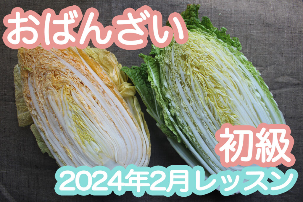 【初級】2024年2月「白菜」